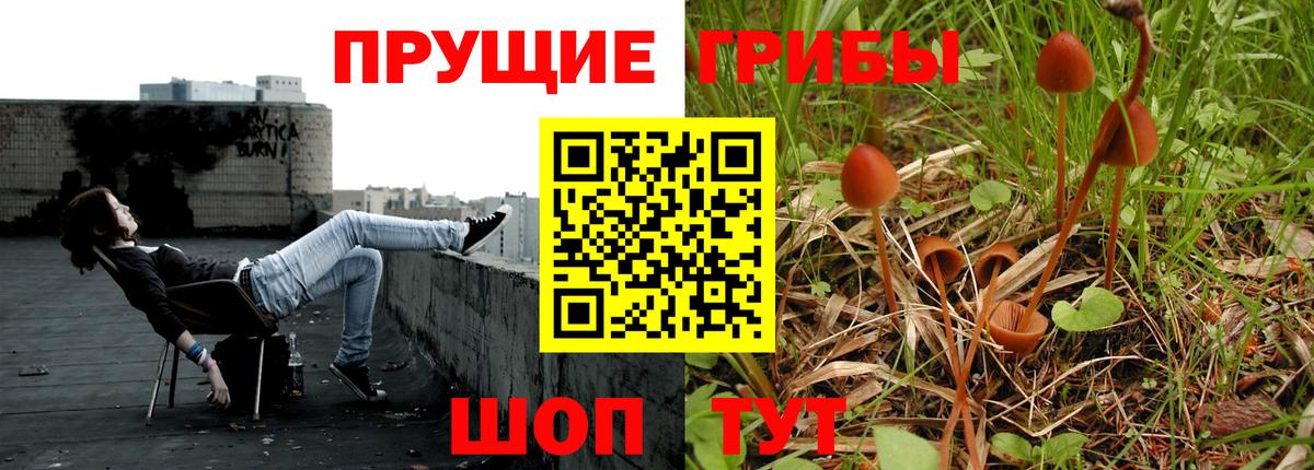 Псилоцибиновые грибы мухоморы Новоалтайск